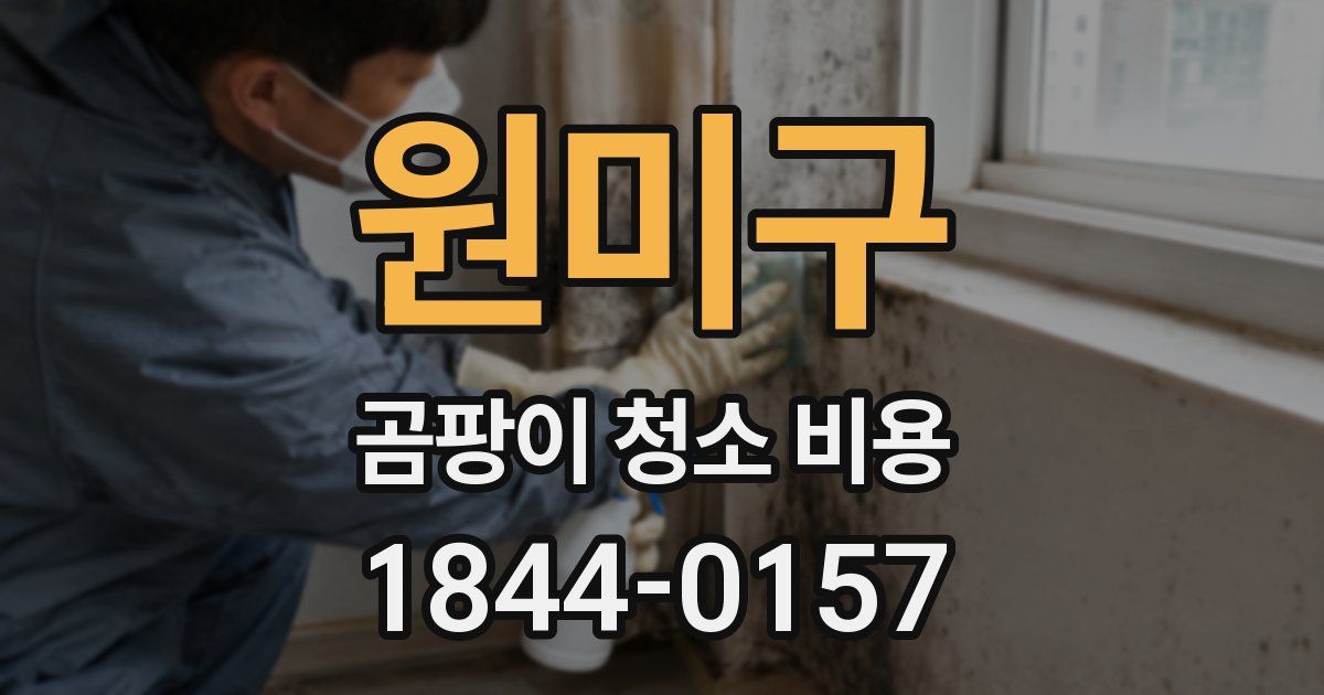 원미구 곰팡이 청소 비용