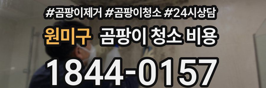 원미구 곰팡이 청소 비용