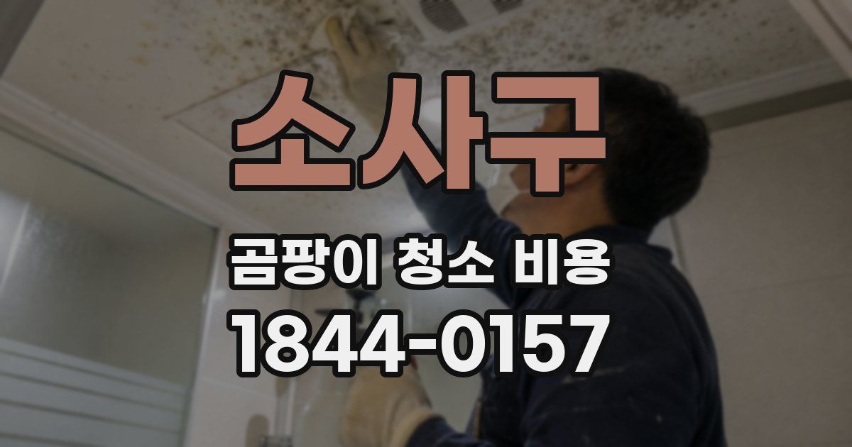 소사구 곰팡이 청소 비용