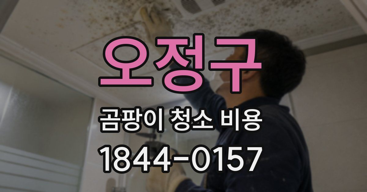 오정구 곰팡이 청소 비용