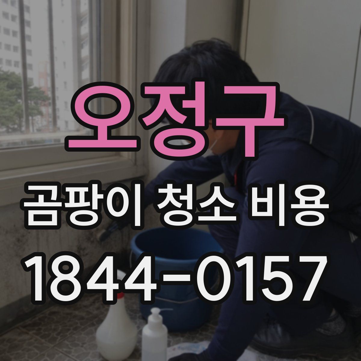 오정구 곰팡이 청소 비용