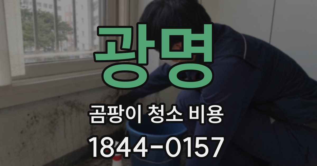 광명 곰팡이 청소 비용