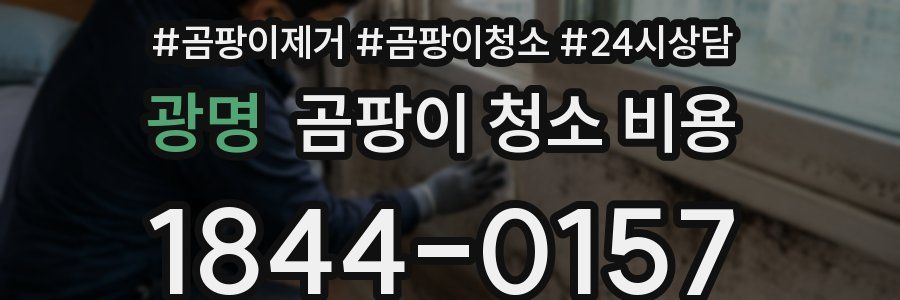광명 곰팡이 청소 비용