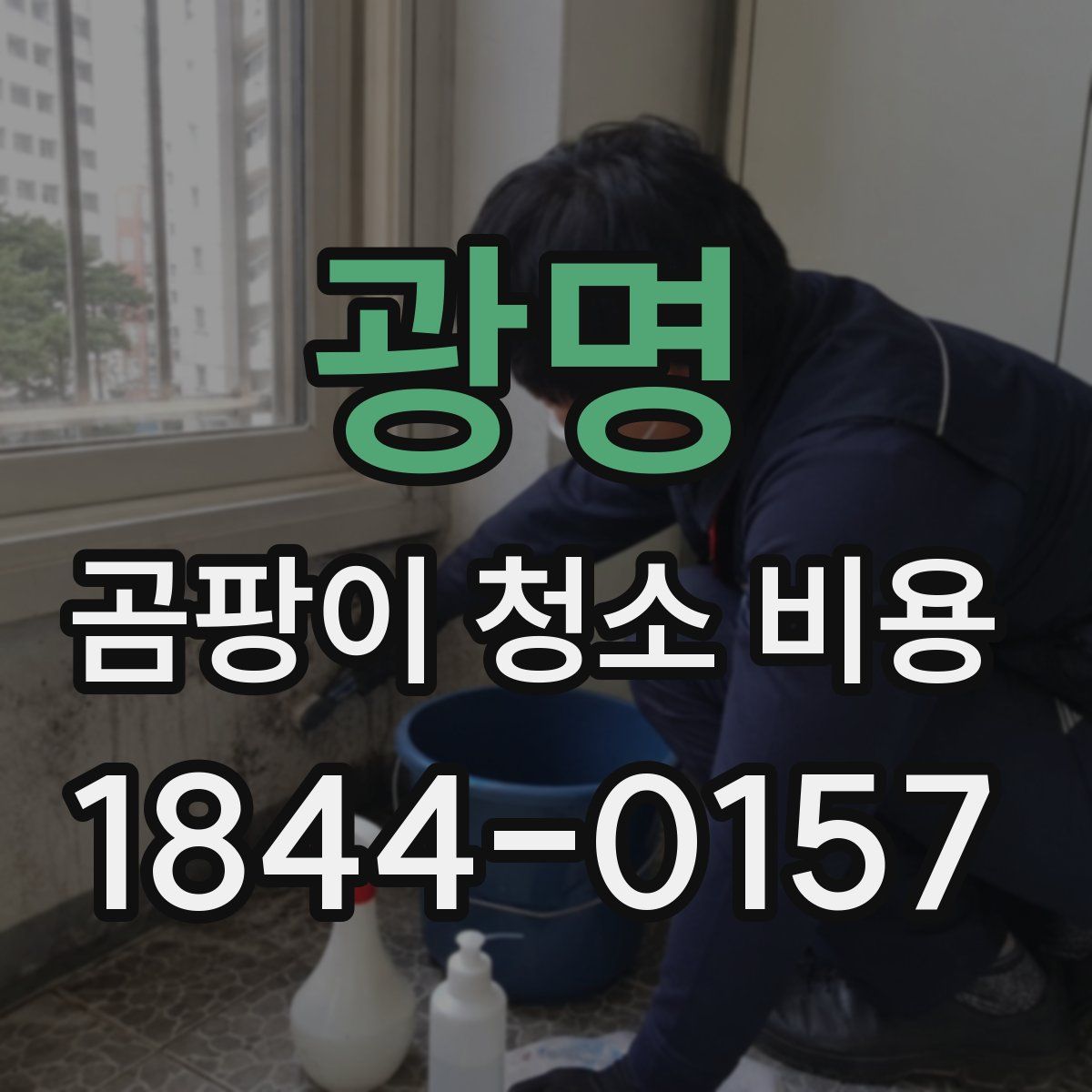 광명 곰팡이 청소 비용