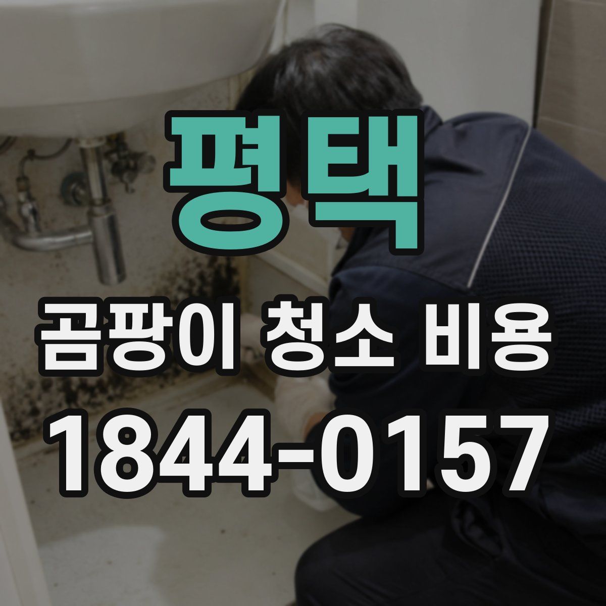 평택 곰팡이 청소 비용