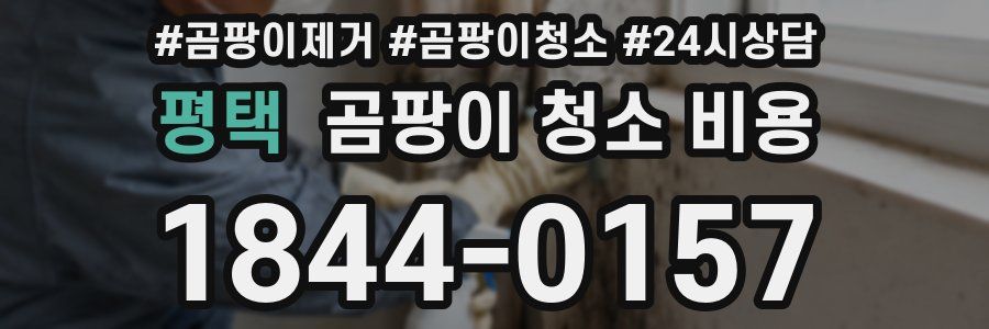 평택 곰팡이 청소 비용