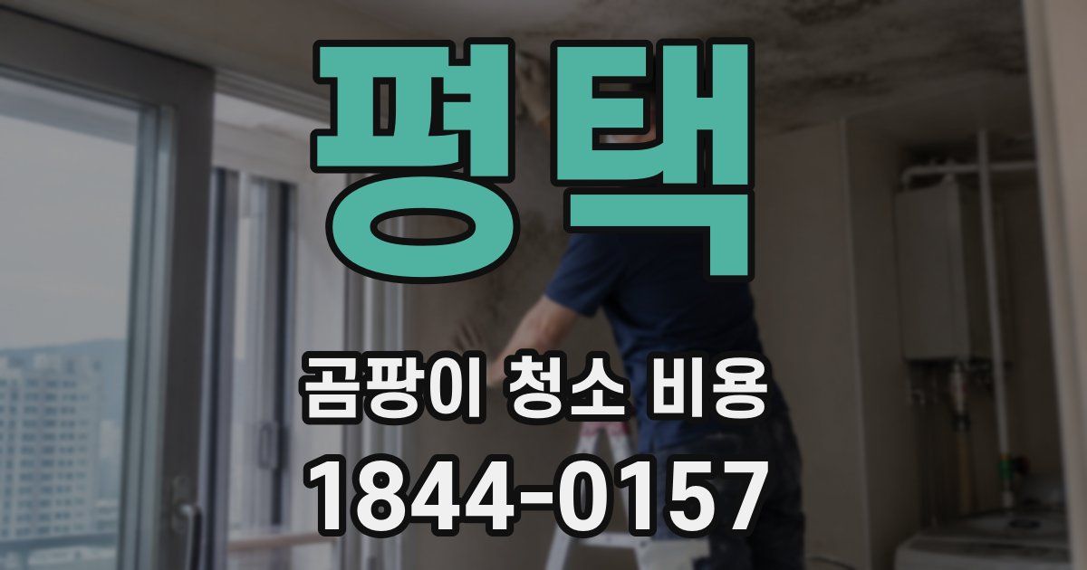 평택 곰팡이 청소 비용