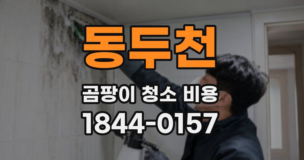 동두천 곰팡이 청소 비용