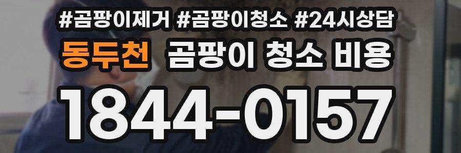 동두천 곰팡이 청소 비용