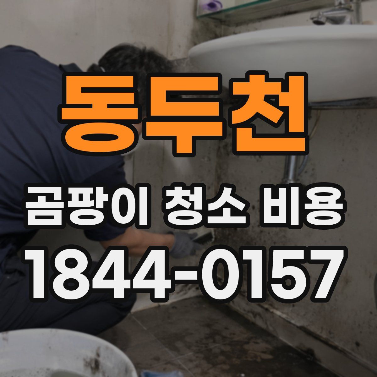 동두천 곰팡이 청소 비용