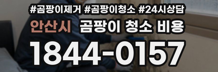 안산시 곰팡이 청소 비용