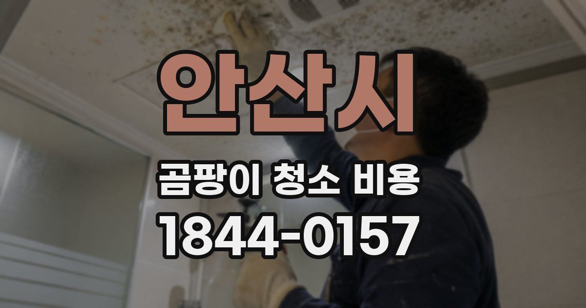 안산시 곰팡이 청소 비용