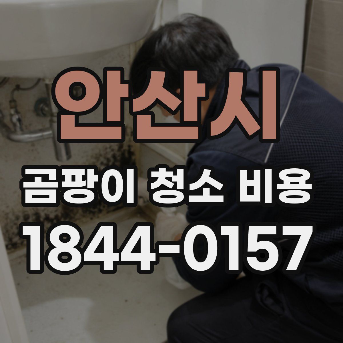 안산시 곰팡이 청소 비용