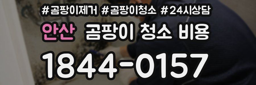 안산 곰팡이 청소 비용