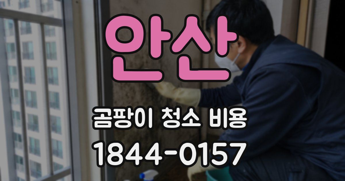 안산 곰팡이 청소 비용
