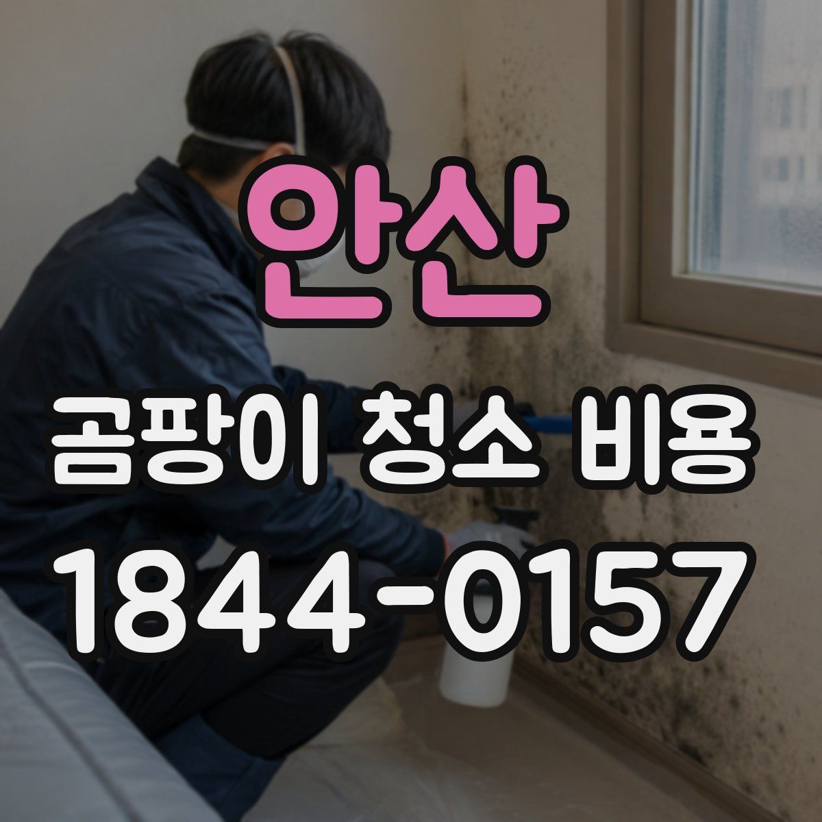 안산 곰팡이 청소 비용