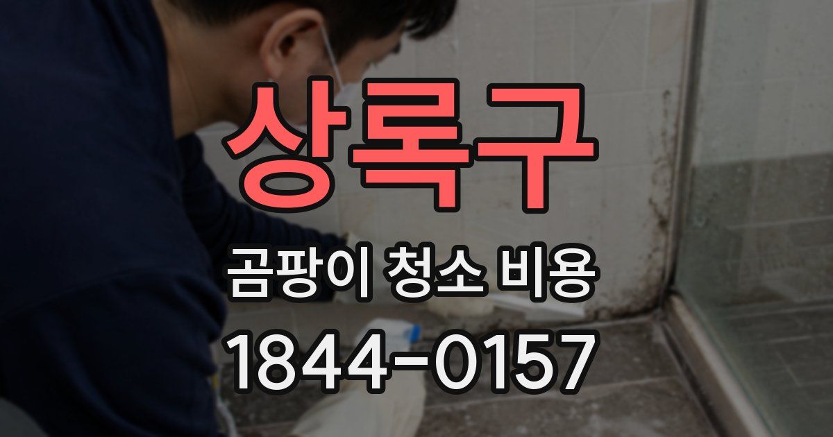 상록구 곰팡이 청소 비용