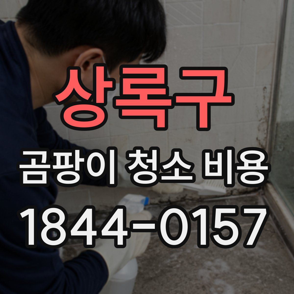 상록구 곰팡이 청소 비용