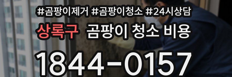 상록구 곰팡이 청소 비용