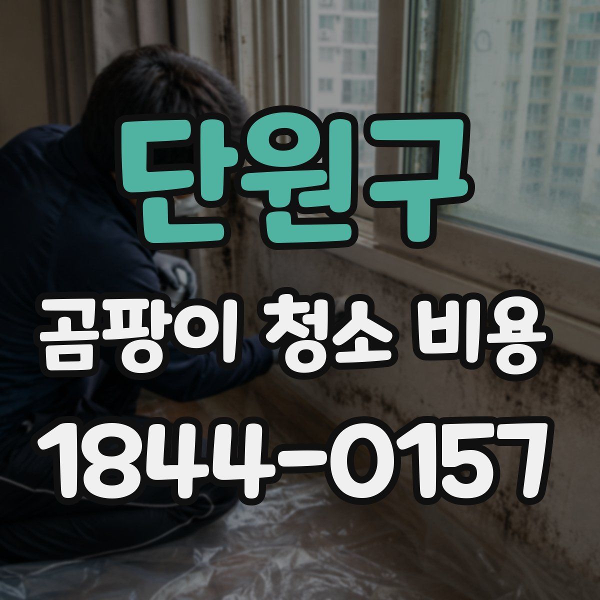 단원구 곰팡이 청소 비용