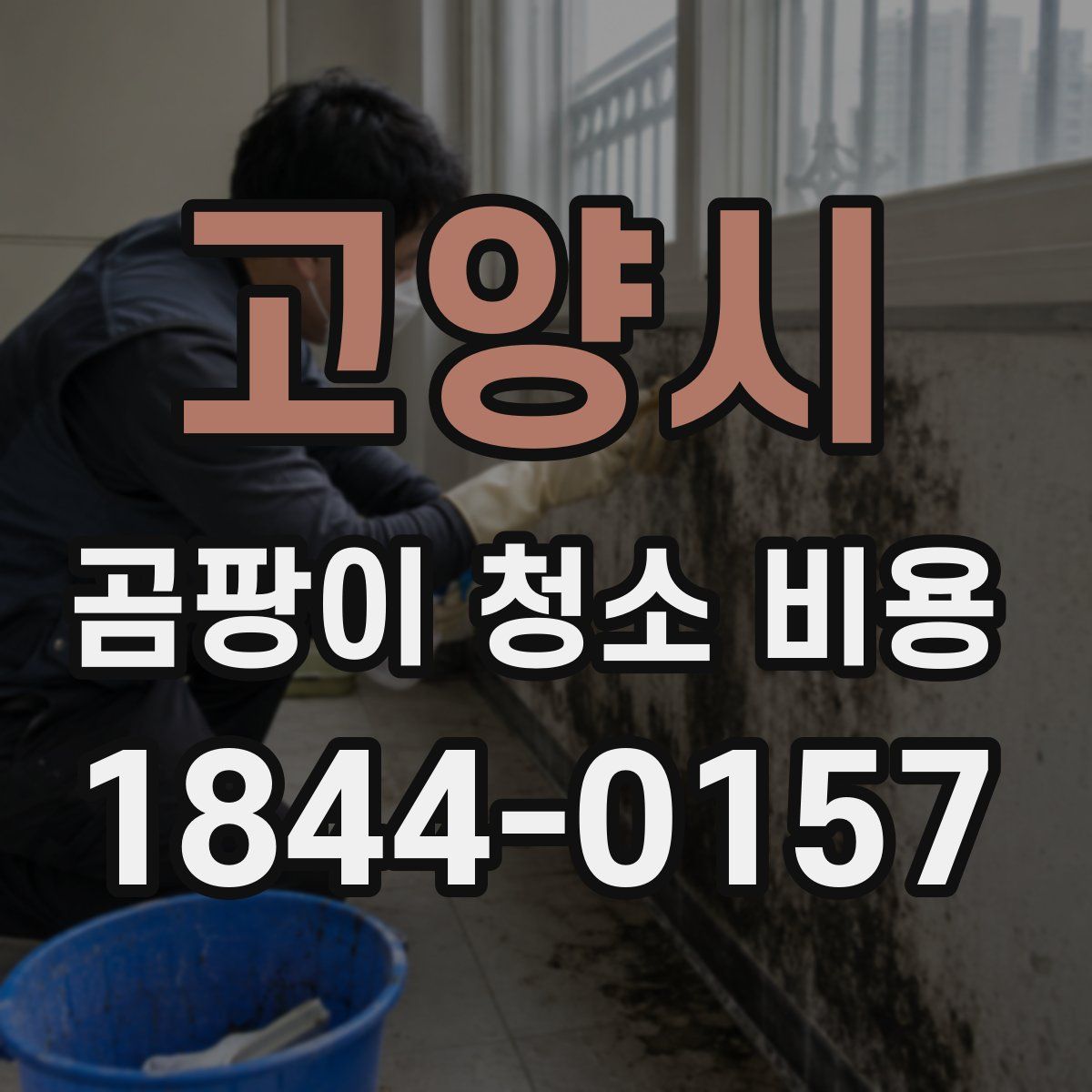 고양시 곰팡이 청소 비용