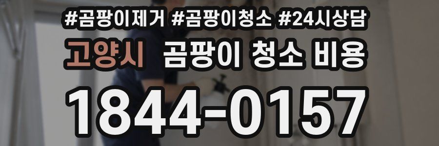 고양시 곰팡이 청소 비용