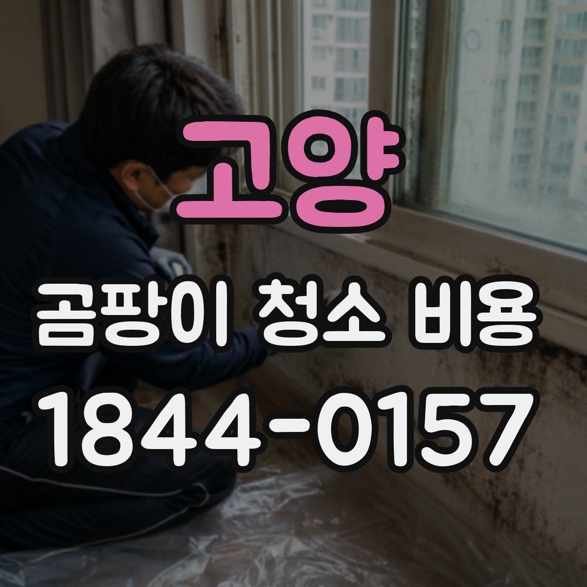 고양 곰팡이 청소 비용 장비 사용 여부에 따라 달라지는 항목