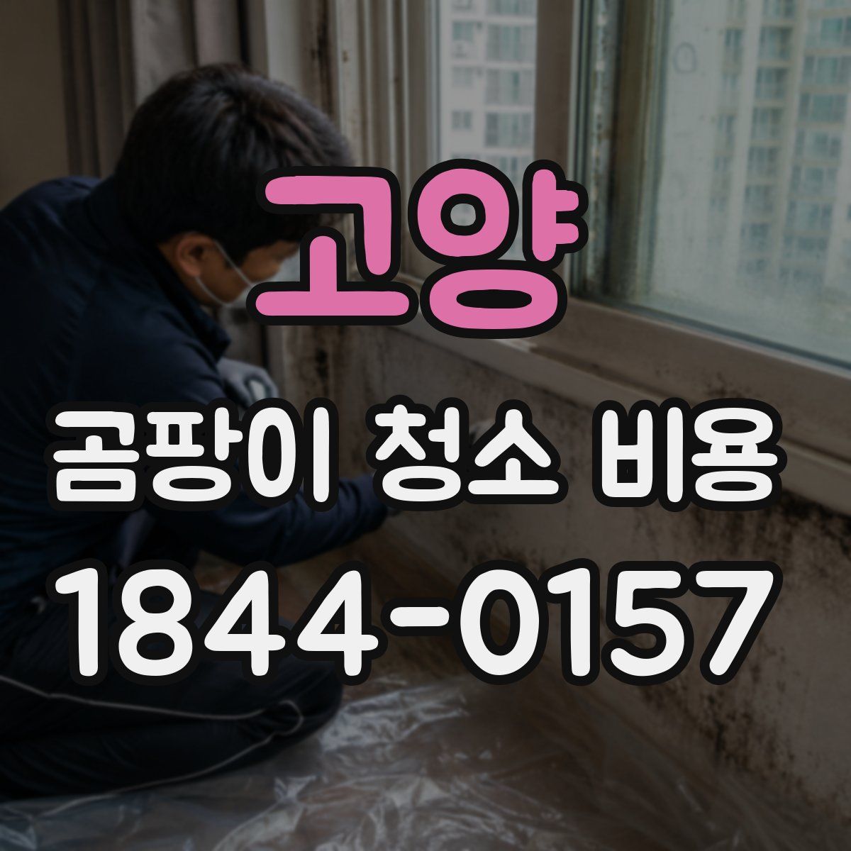 고양 곰팡이 청소 비용