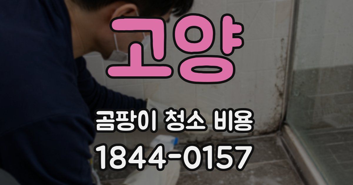 고양 곰팡이 청소 비용