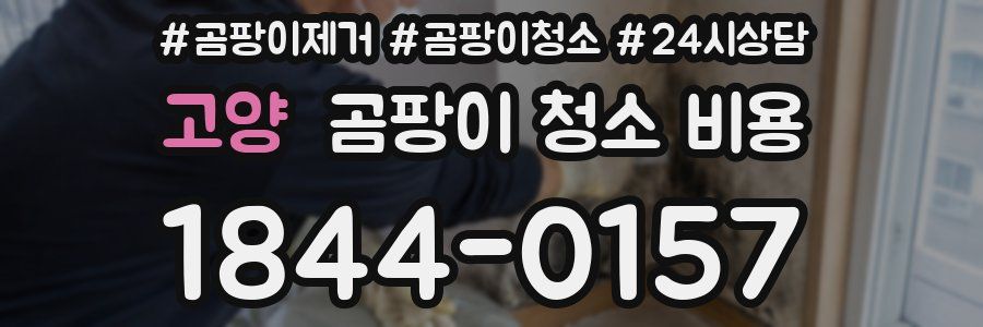 고양 곰팡이 청소 비용