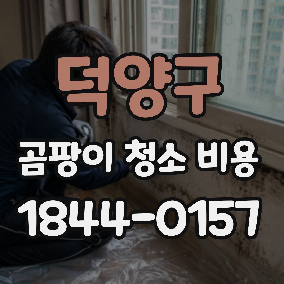 덕양구 곰팡이 청소 비용