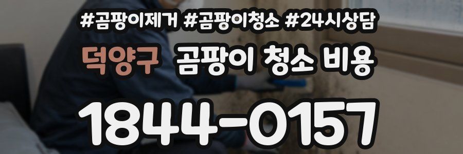 덕양구 곰팡이 청소 비용