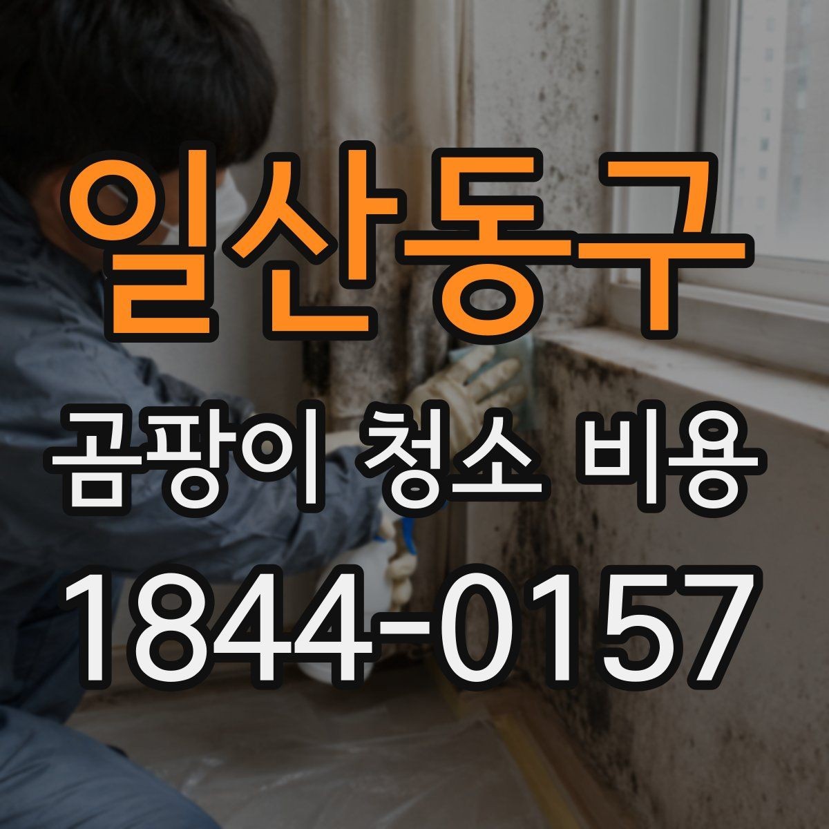 일산동구 곰팡이 청소 비용 약품 선택이 결과에 미치는 영향