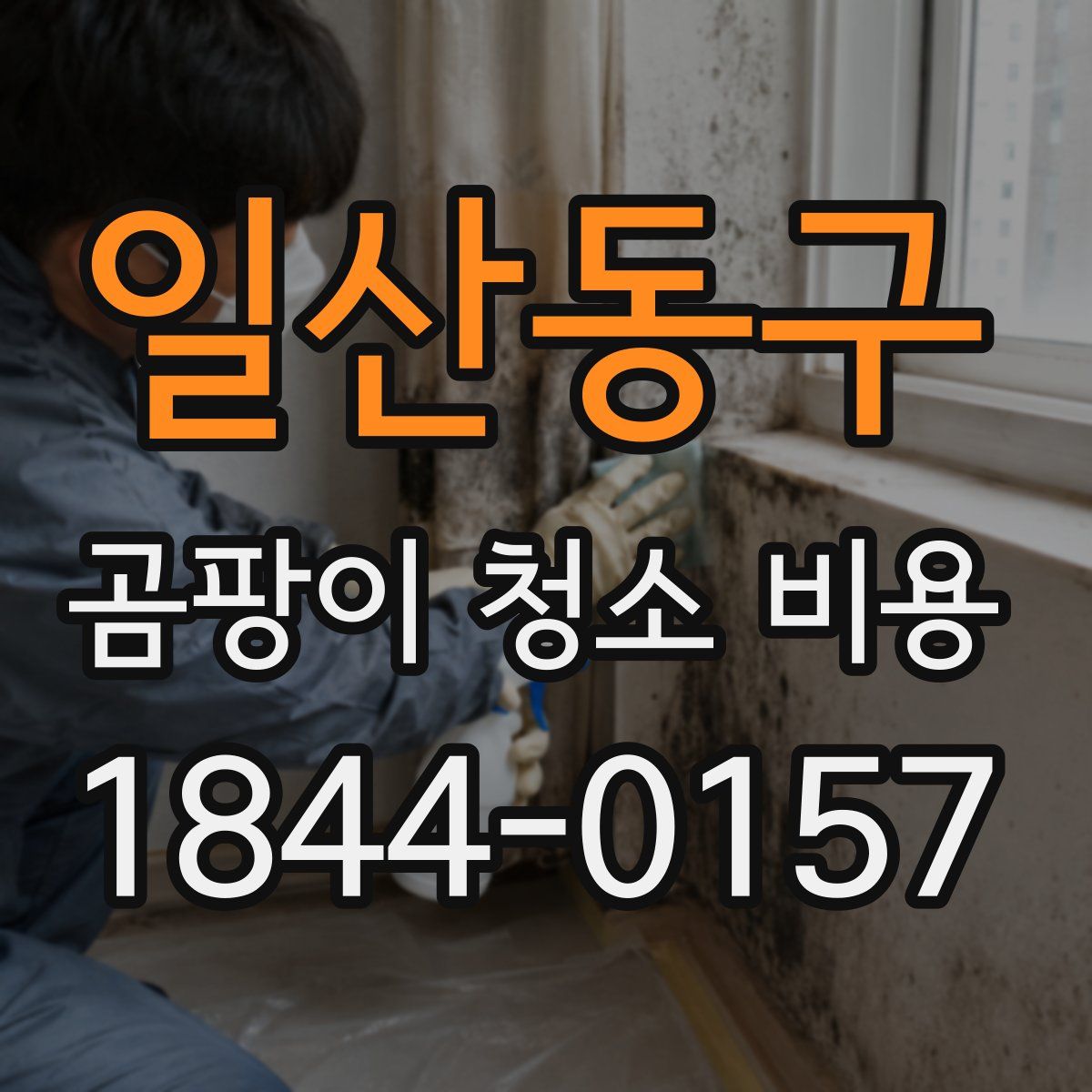 일산동구 곰팡이 청소 비용