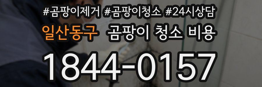 일산동구 곰팡이 청소 비용