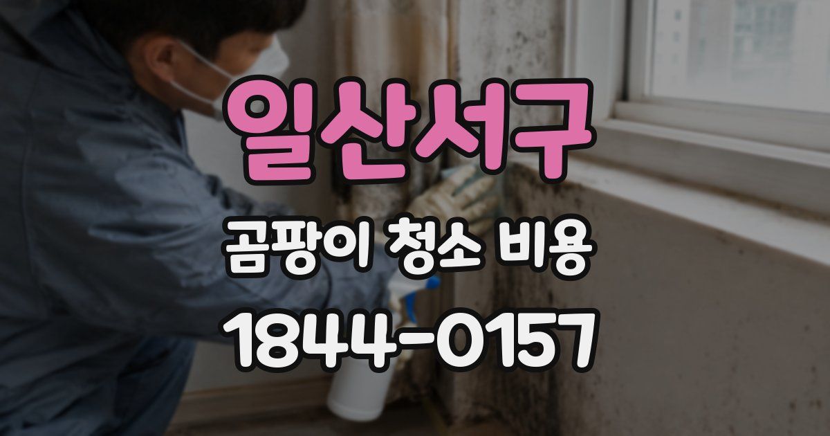 일산서구 곰팡이 청소 비용