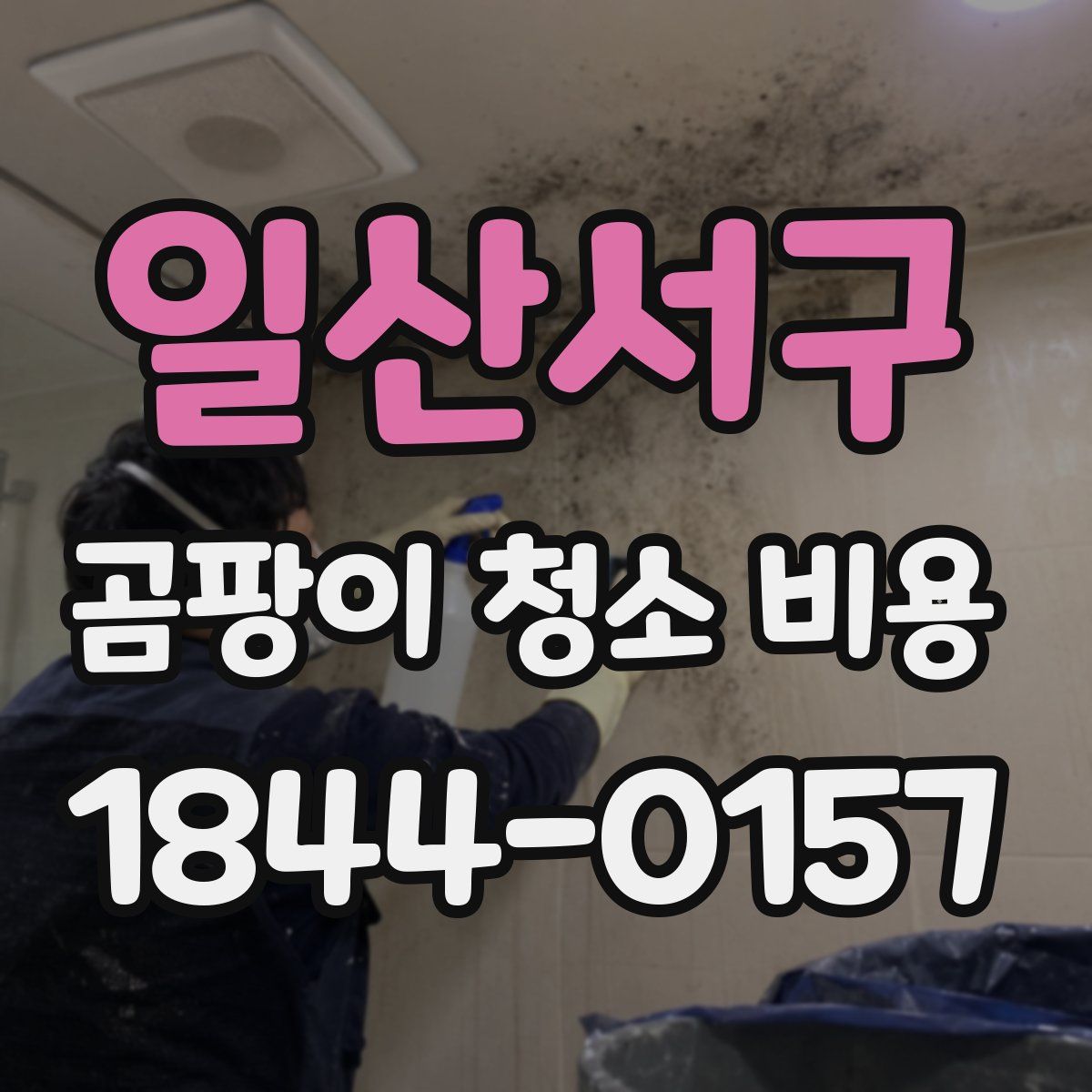 일산서구 곰팡이 청소 비용