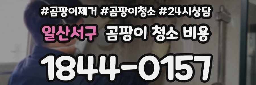 일산서구 곰팡이 청소 비용