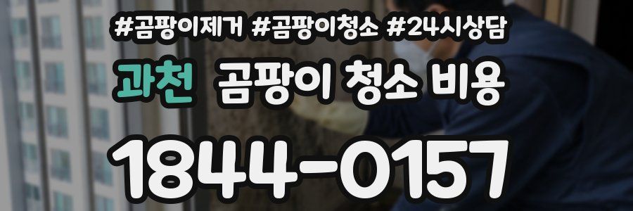 과천 곰팡이 청소 비용