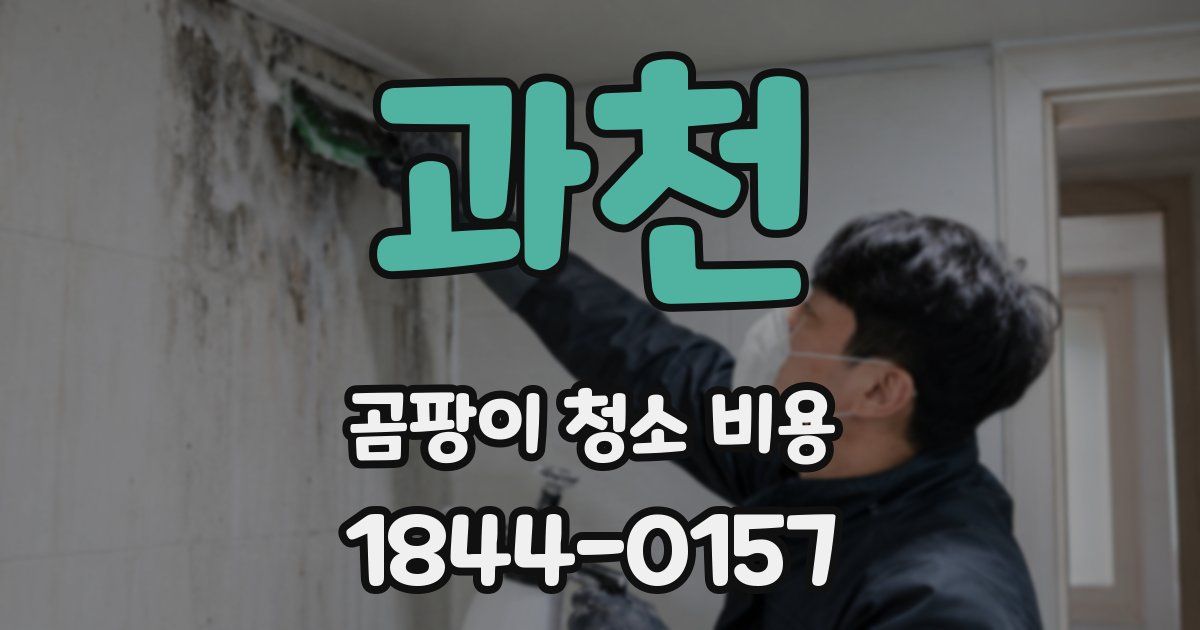 과천 곰팡이 청소 비용