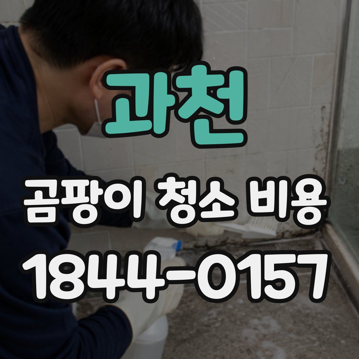 과천 곰팡이 청소 비용