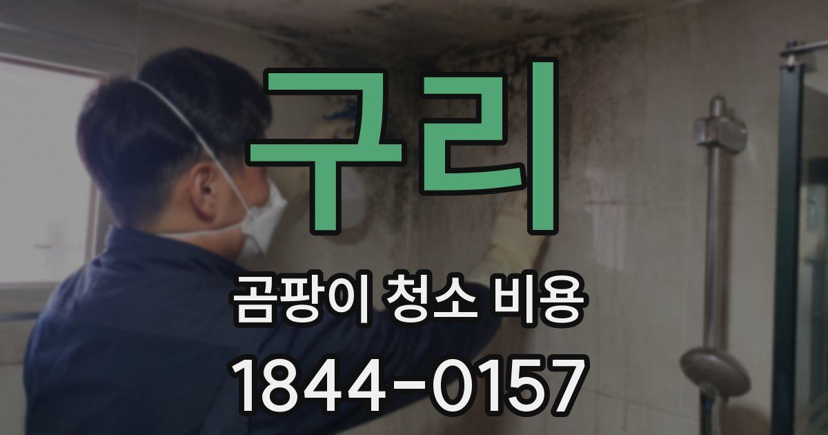 구리 곰팡이 청소 비용