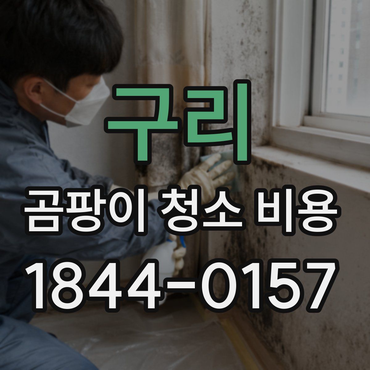 구리 곰팡이 청소 비용