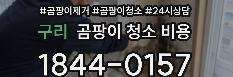 구리 곰팡이 청소 비용