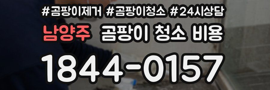 남양주 곰팡이 청소 비용