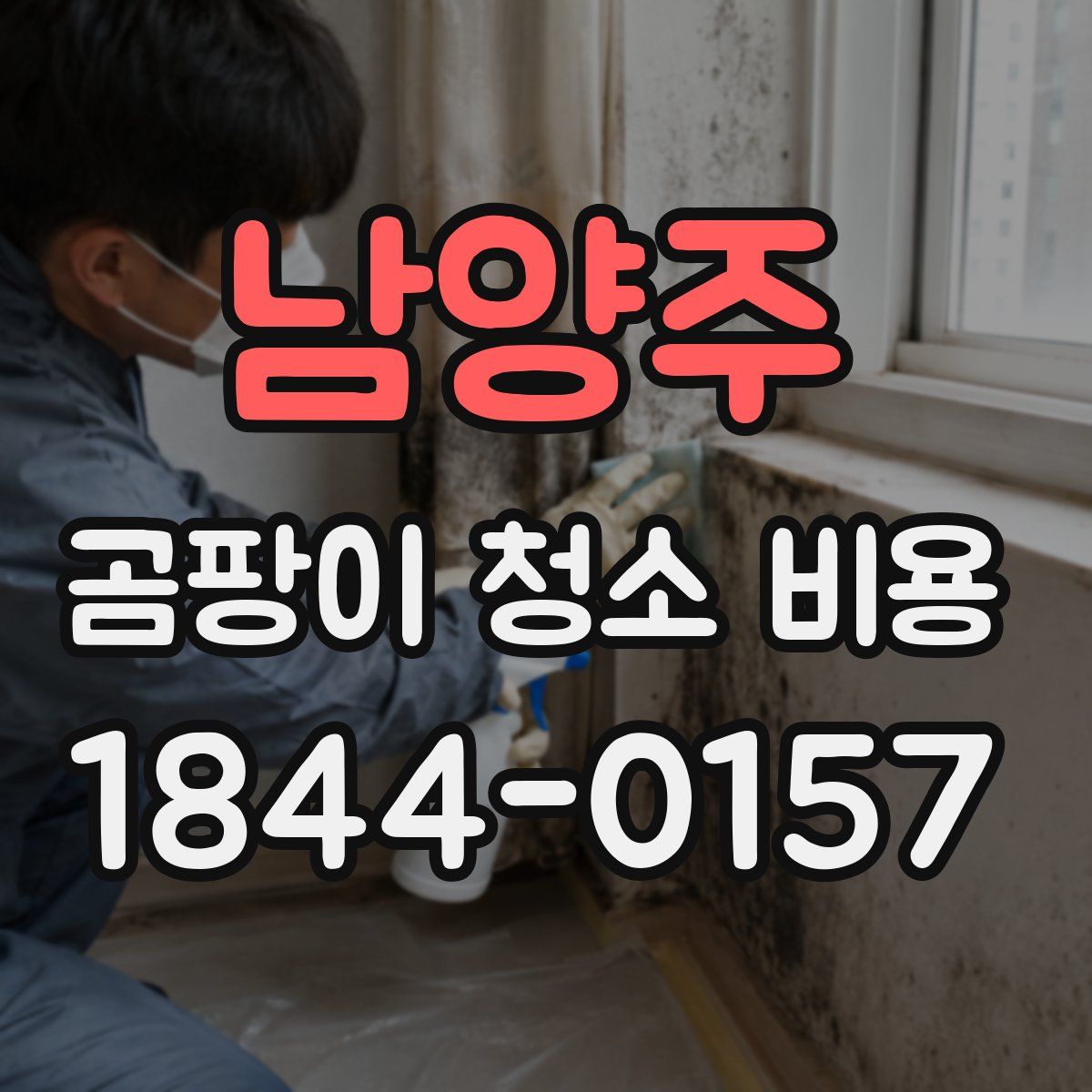 남양주 곰팡이 청소 비용