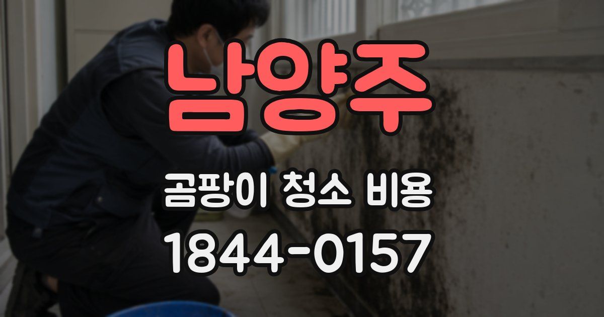 남양주 곰팡이 청소 비용