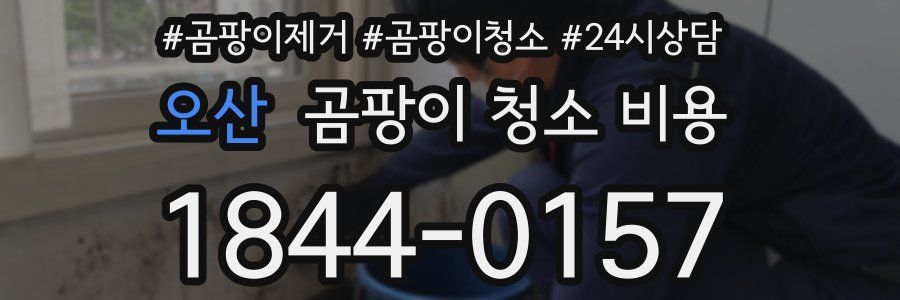 오산 곰팡이 청소 비용