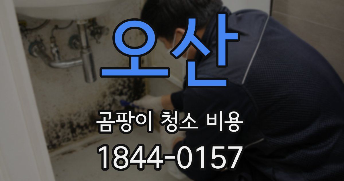 오산 곰팡이 청소 비용