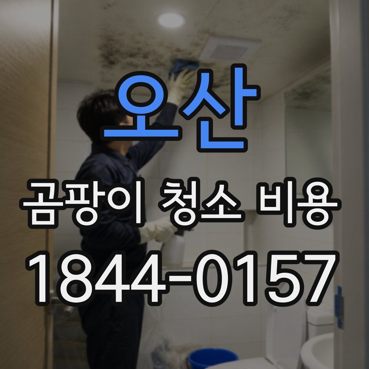 오산 곰팡이 청소 비용